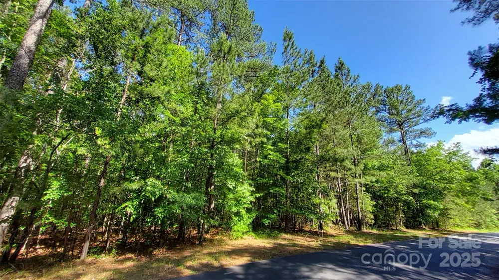 0000 Loblolly Lane #24/23/22 Mill Spring, NC 28756