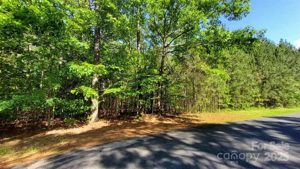 0000 Loblolly Lane #24/23/22 Mill Spring, NC 28756