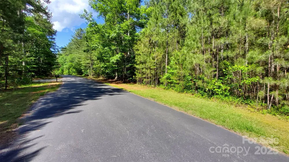 0000 Loblolly Lane #24/23/22 Mill Spring, NC 28756