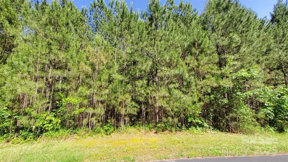 0000 Loblolly Lane #24/23/22 Mill Spring, NC 28756