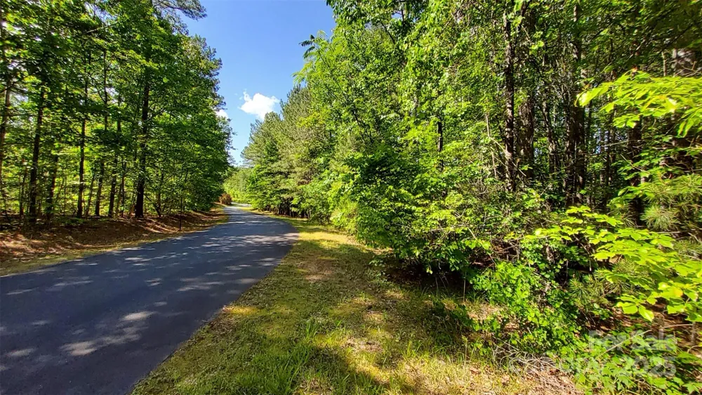 0000 Loblolly Lane #24/23/22 Mill Spring, NC 28756