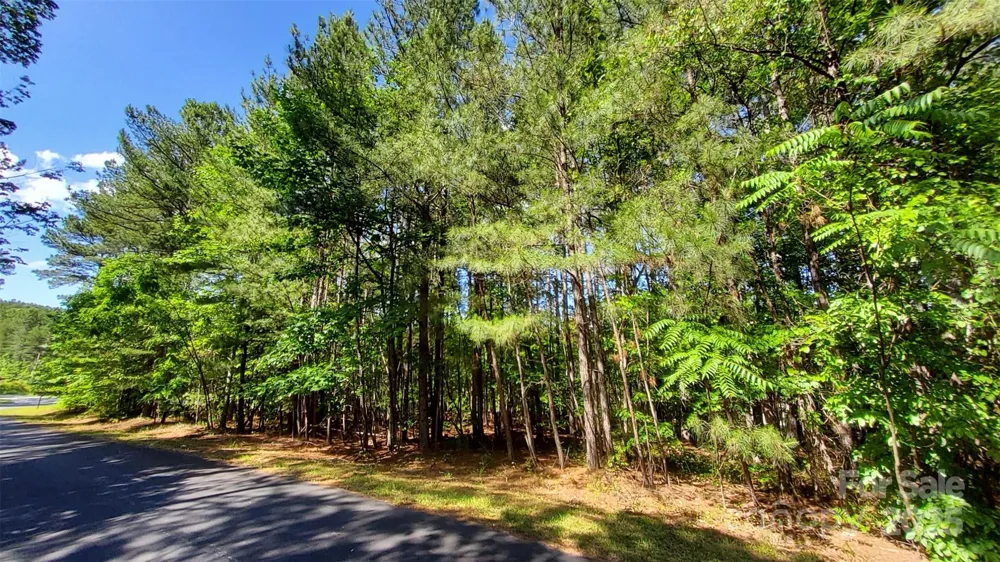 0000 Loblolly Lane #24/23/22 Mill Spring, NC 28756