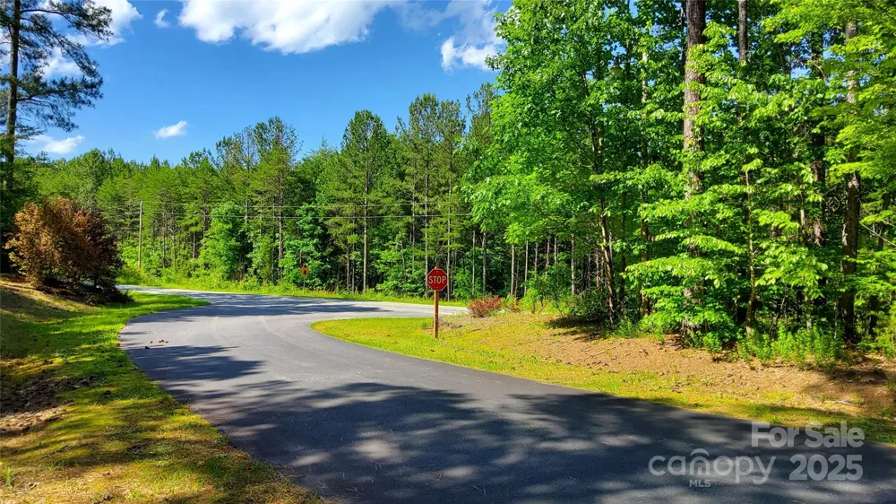 0000 Loblolly Lane #24/23/22 Mill Spring, NC 28756