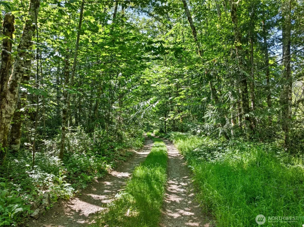 6133 Blue Mountain Lane NW Seabeck, WA 98380