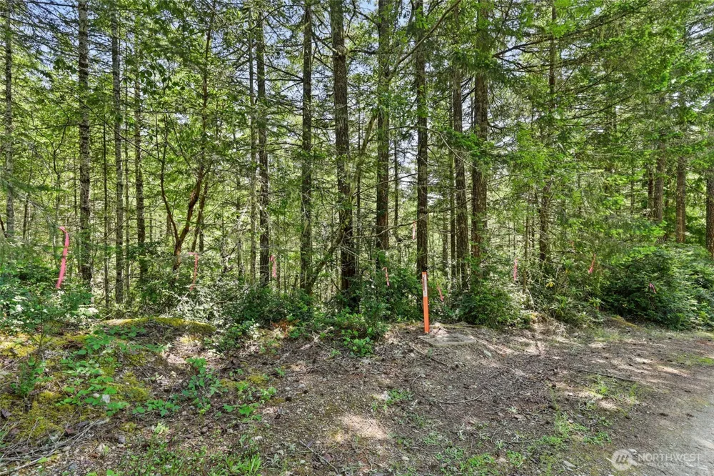 6133 Blue Mountain Lane NW Seabeck, WA 98380