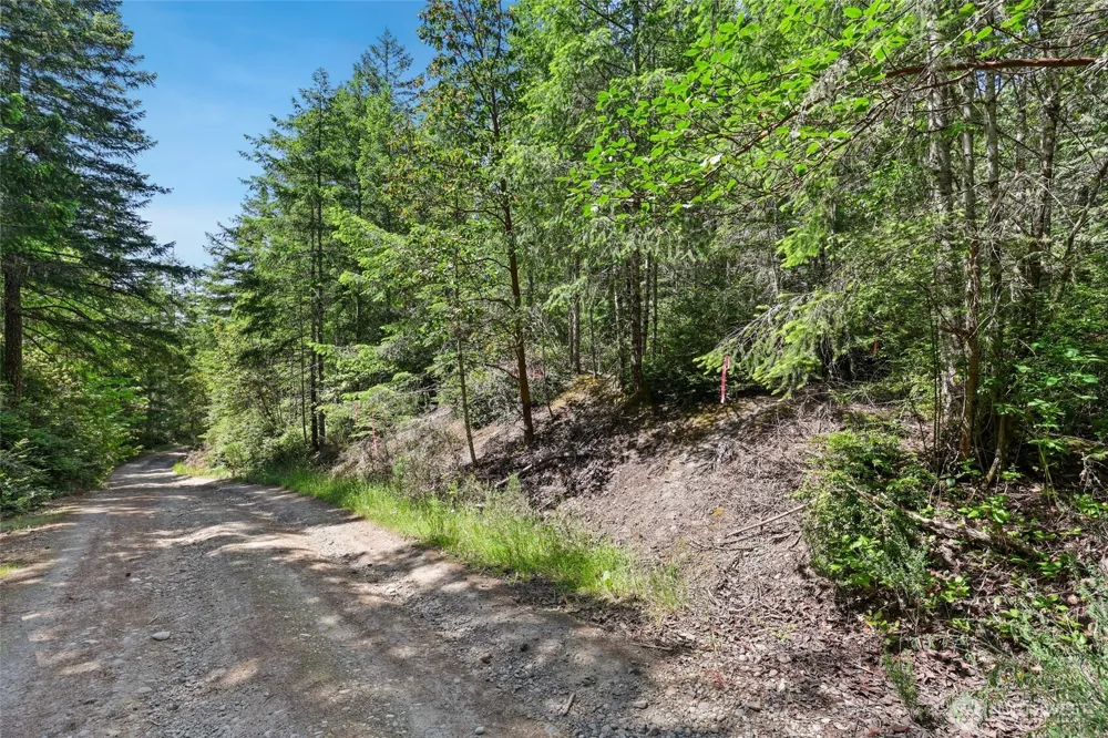 6133 Blue Mountain Lane NW Seabeck, WA 98380