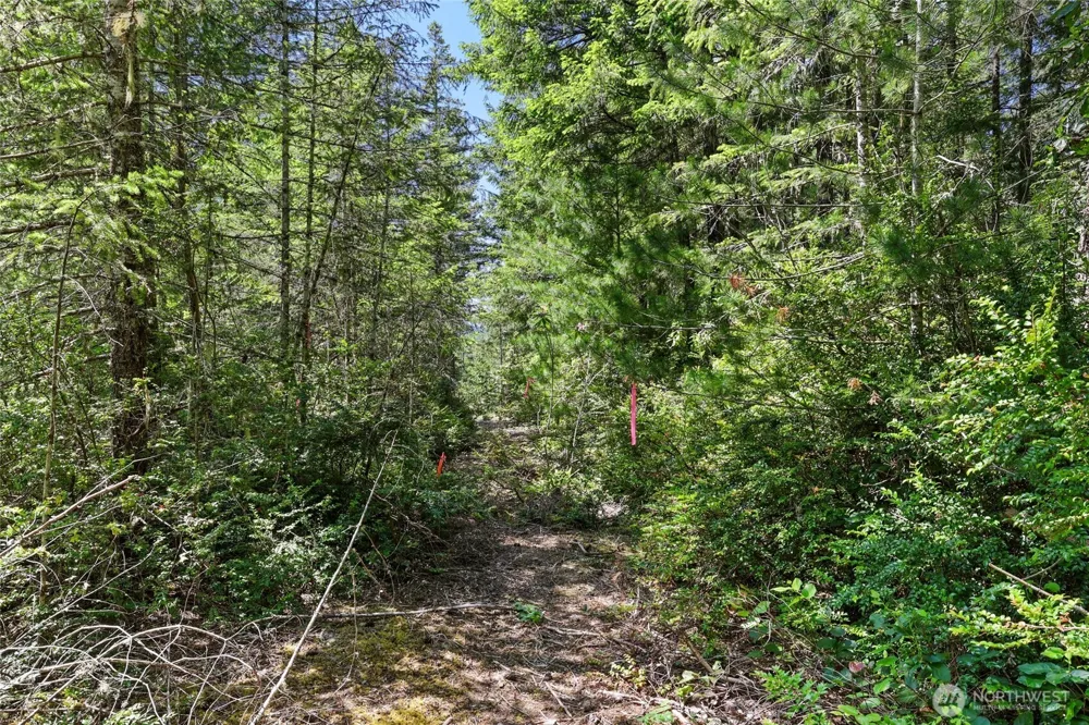 6133 Blue Mountain Lane NW Seabeck, WA 98380