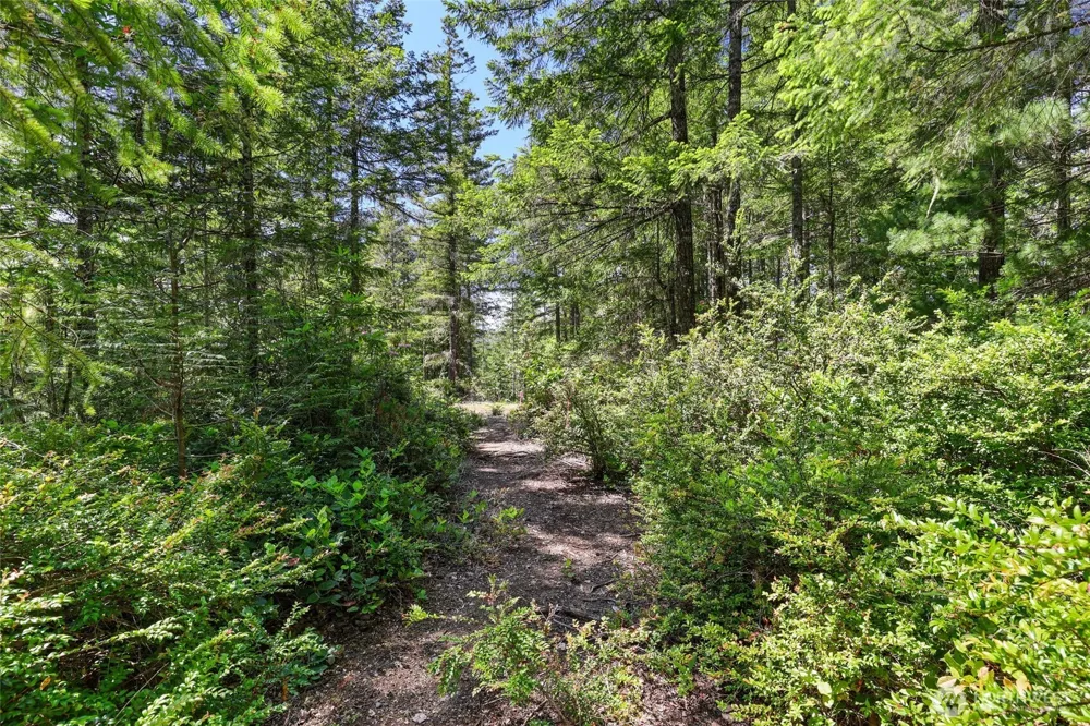 6133 Blue Mountain Lane NW Seabeck, WA 98380