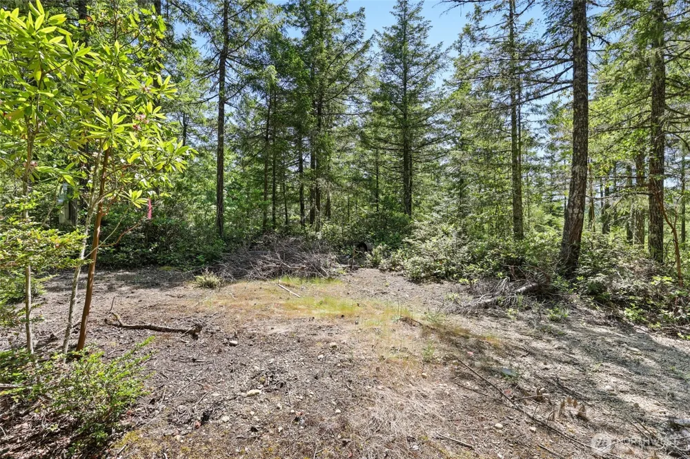6133 Blue Mountain Lane NW Seabeck, WA 98380