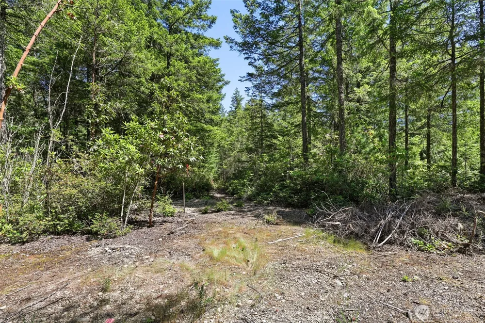 6133 Blue Mountain Lane NW Seabeck, WA 98380