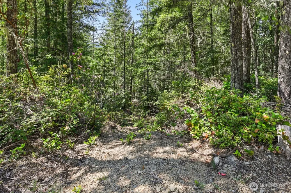 6133 Blue Mountain Lane NW Seabeck, WA 98380