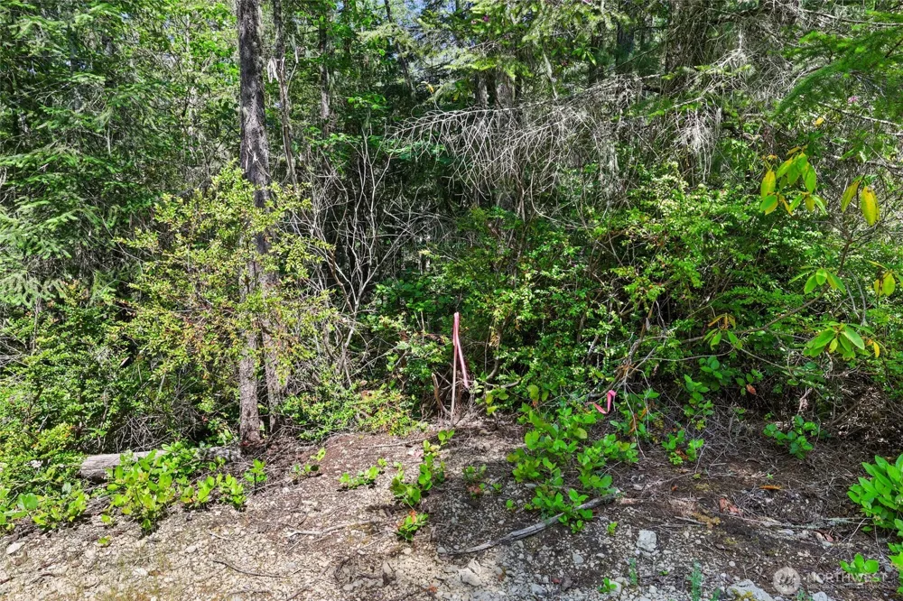 6133 Blue Mountain Lane NW Seabeck, WA 98380