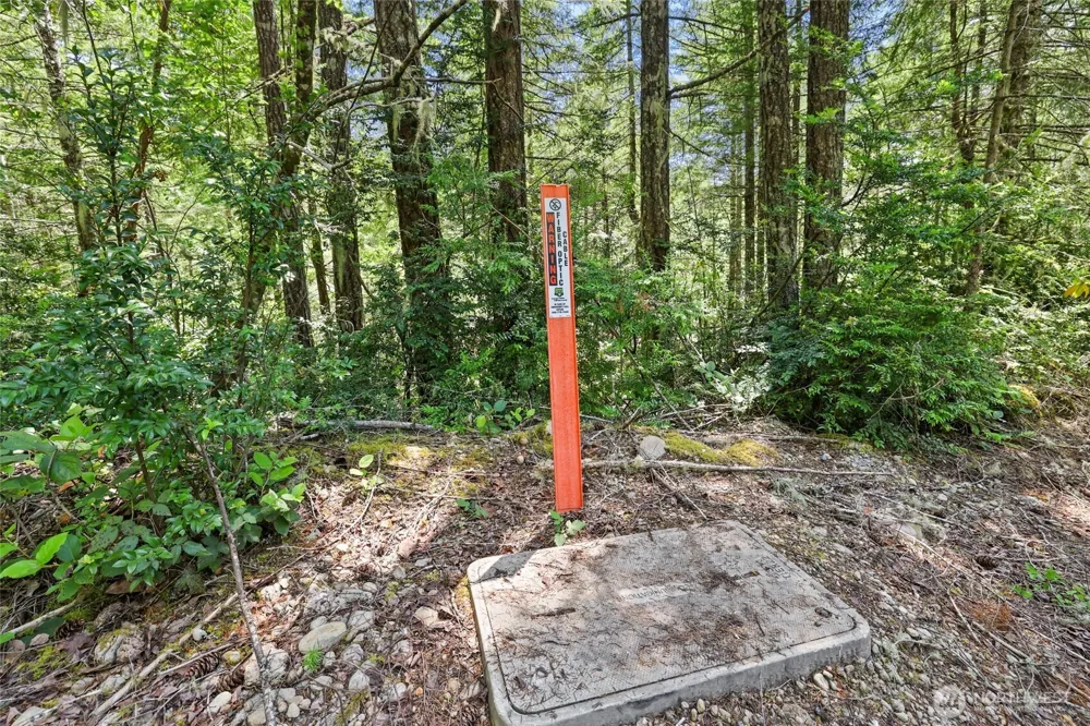 6133 Blue Mountain Lane NW Seabeck, WA 98380