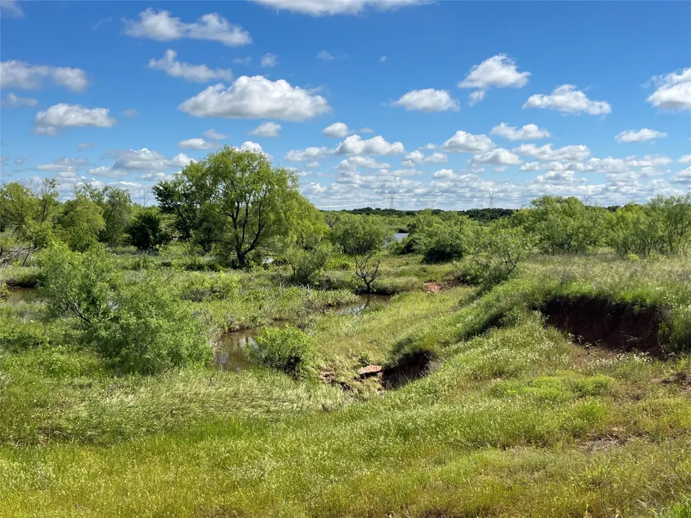 Flinn Road Bellevue, TX 76228