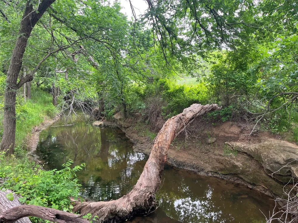Flinn Road Bellevue, TX 76228