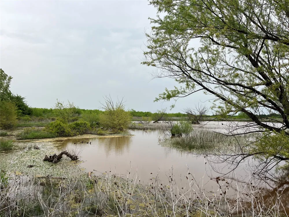 Flinn Road Bellevue, TX 76228