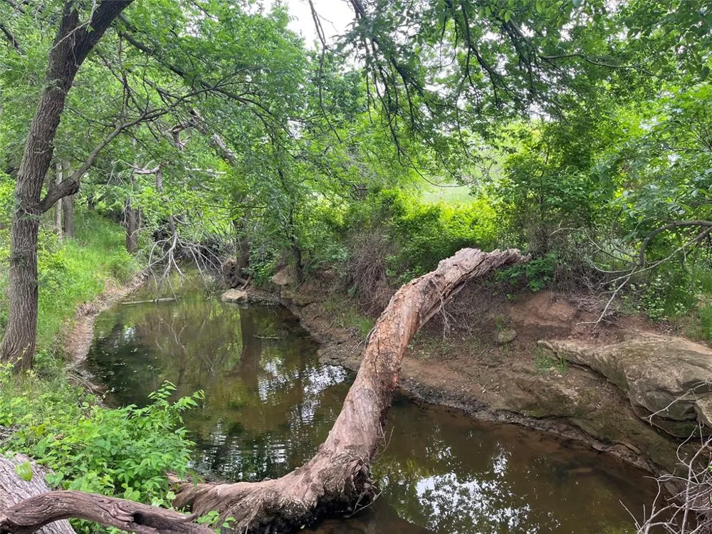 Flinn Road Bellevue, TX 76228