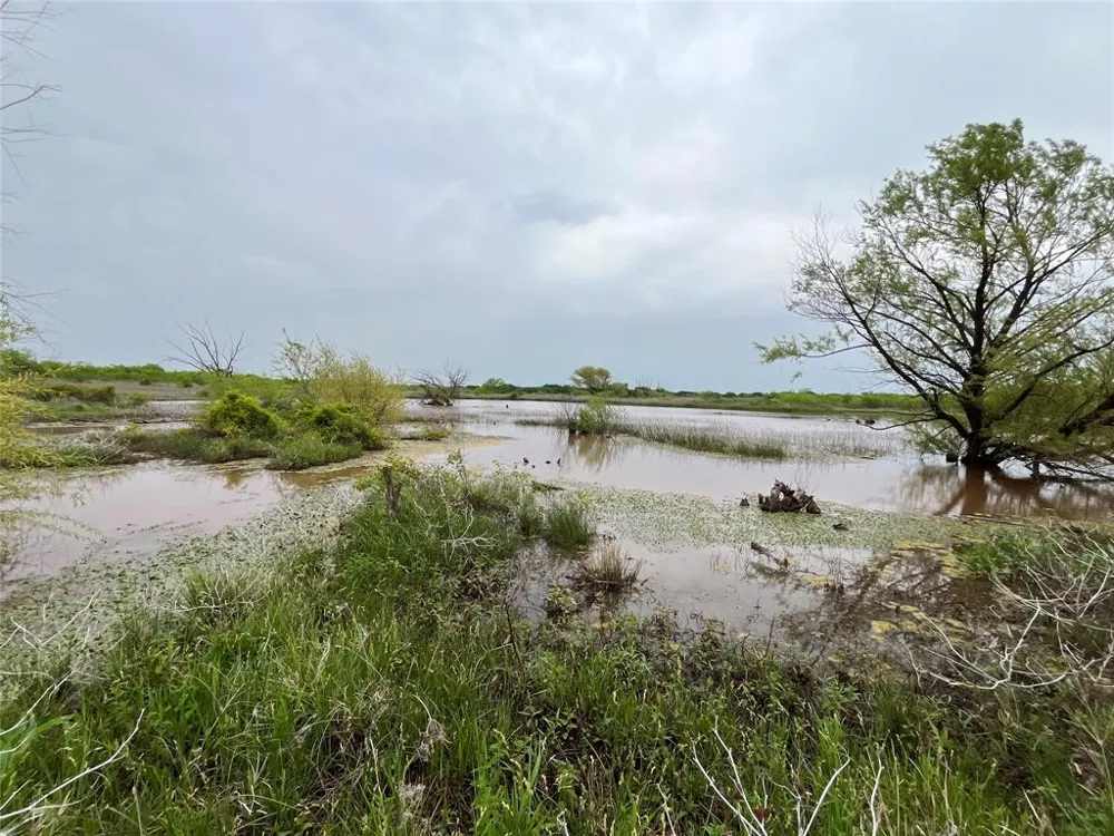 Flinn Road Bellevue, TX 76228