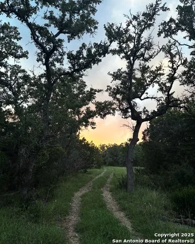 1 Bergwald Bulverde, TX 78163