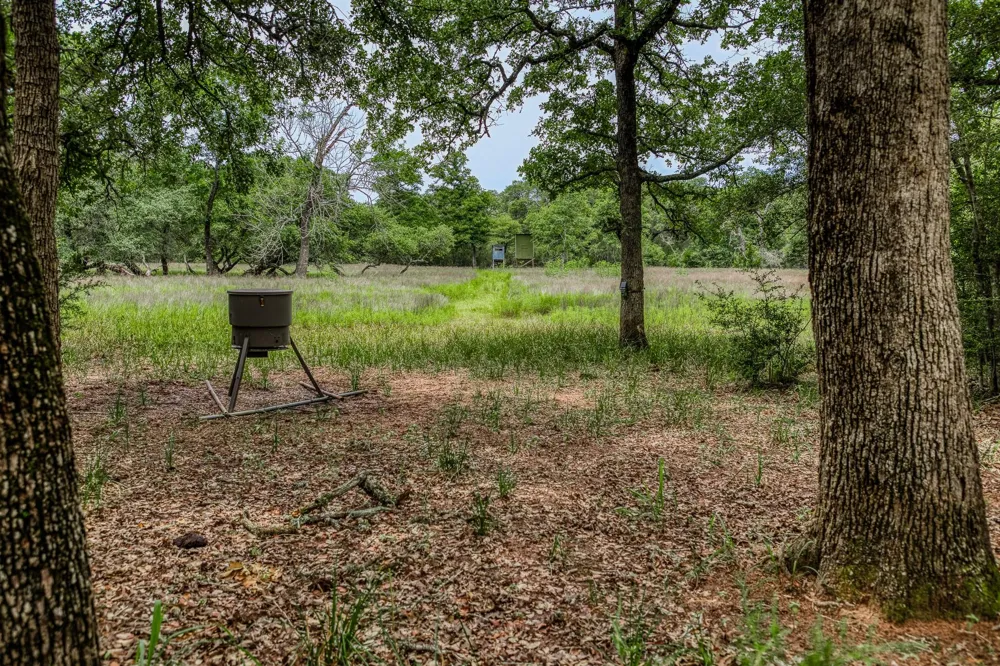 Cr 125 Hallettsville, TX 77964