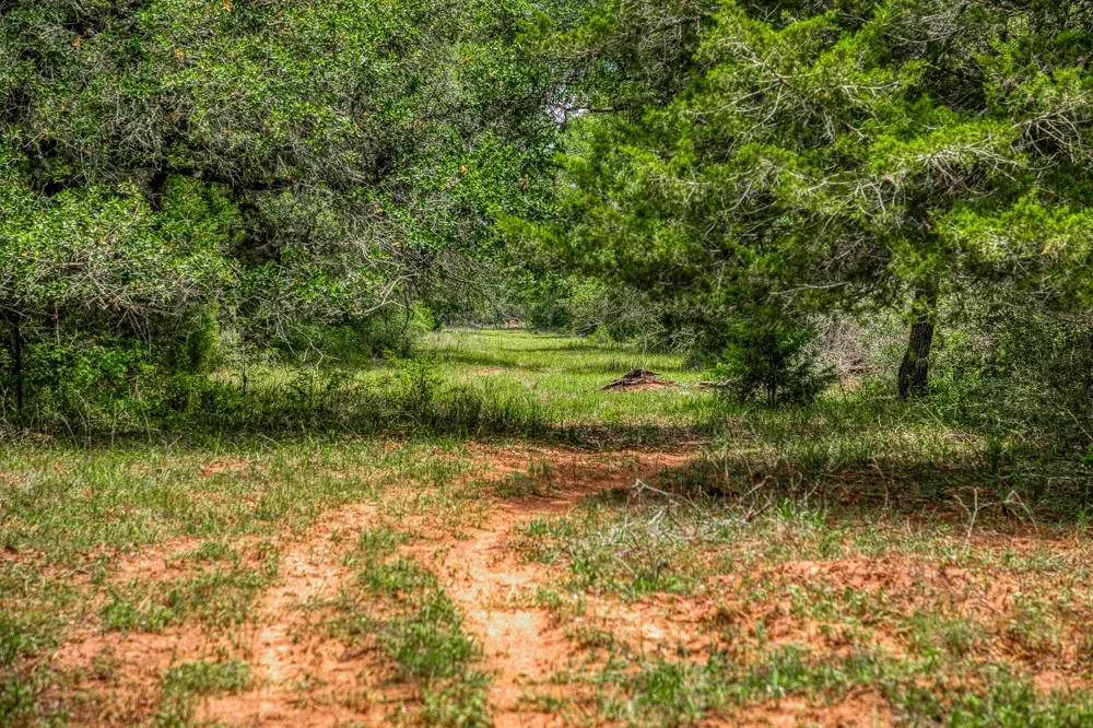 Cr 125 Hallettsville, TX 77964