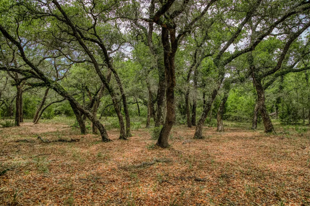 Cr 125 Hallettsville, TX 77964
