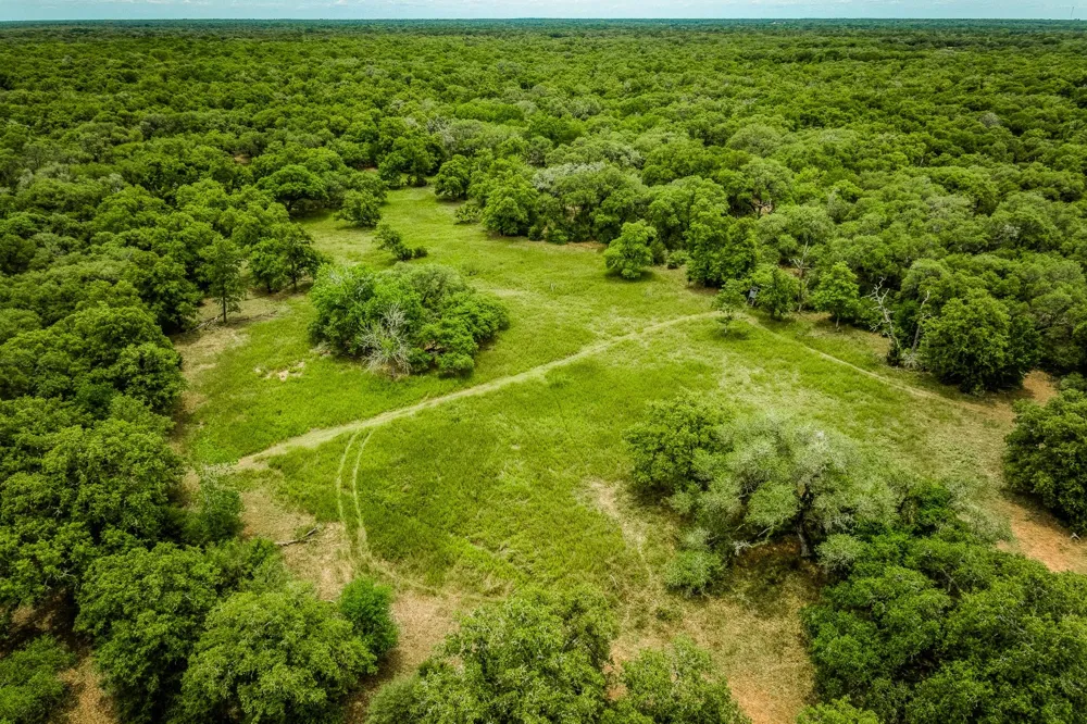 Cr 125 Hallettsville, TX 77964