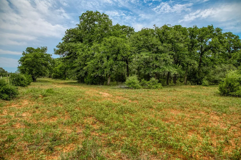 Cr 125 Hallettsville, TX 77964