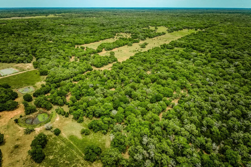 Cr 125 Hallettsville, TX 77964