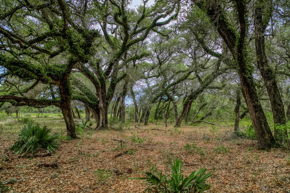 Cr 125 Hallettsville, TX 77964