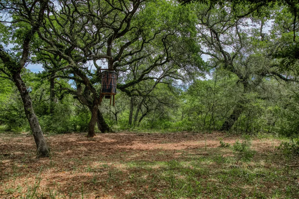Cr 125 Hallettsville, TX 77964