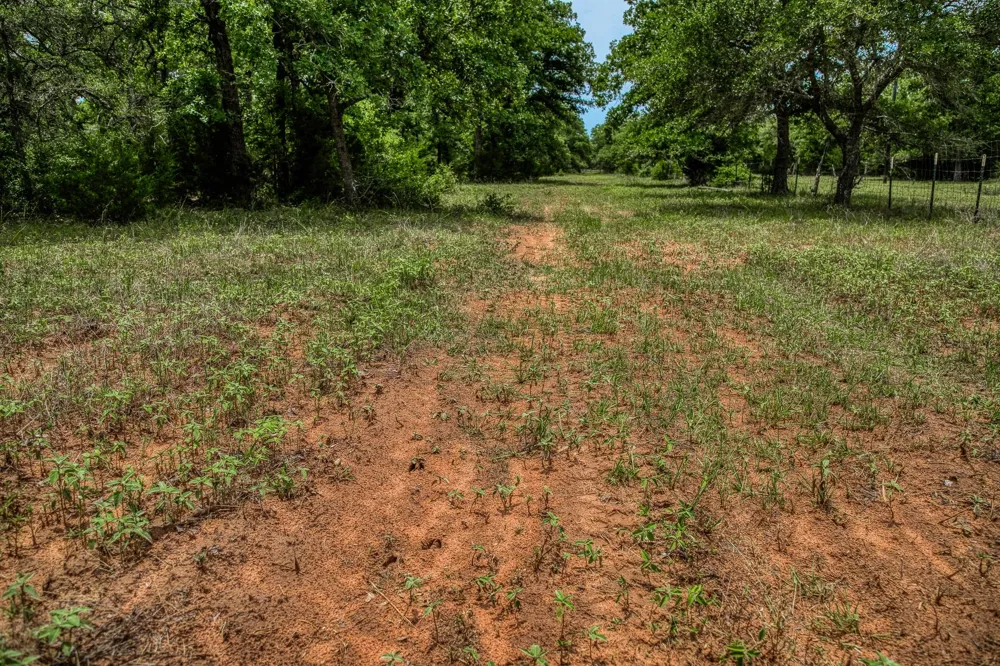 Cr 125 Hallettsville, TX 77964