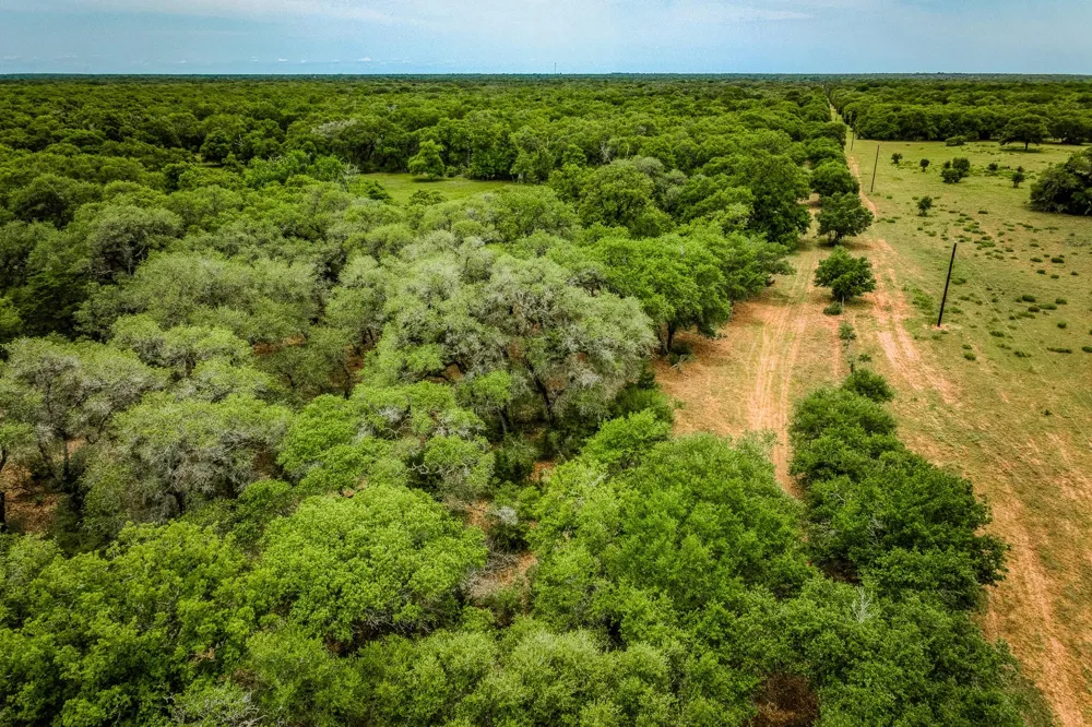Cr 125 Hallettsville, TX 77964