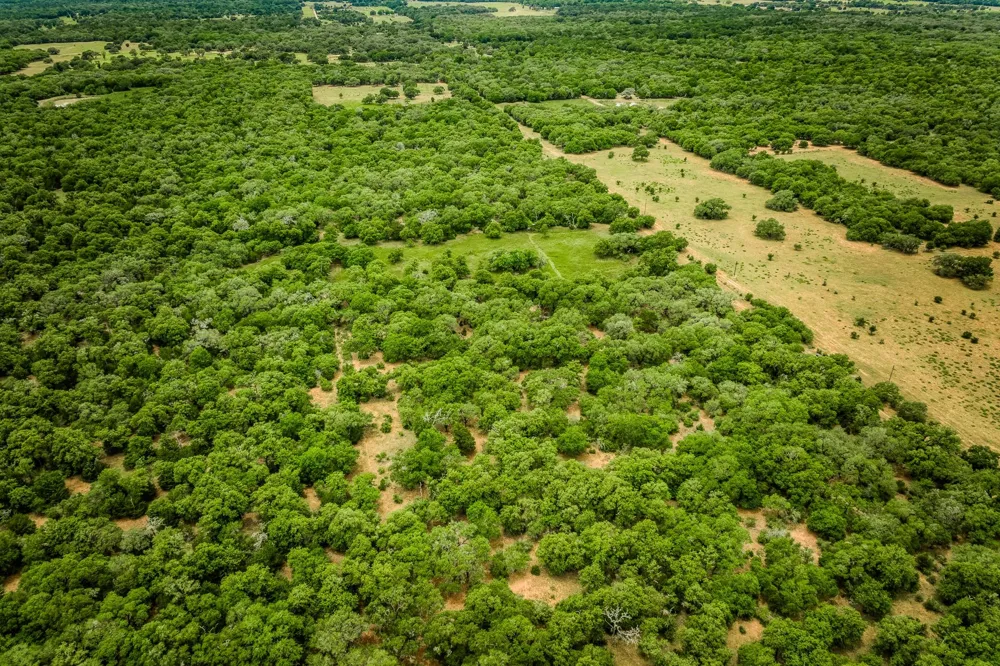 Cr 125 Hallettsville, TX 77964