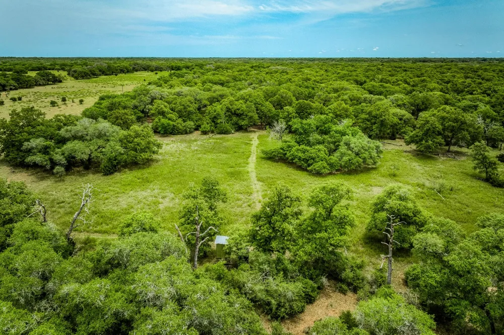 Cr 125 Hallettsville, TX 77964