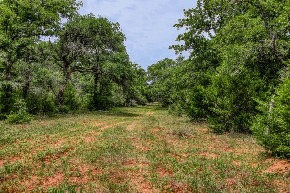 Cr 125 Hallettsville, TX 77964