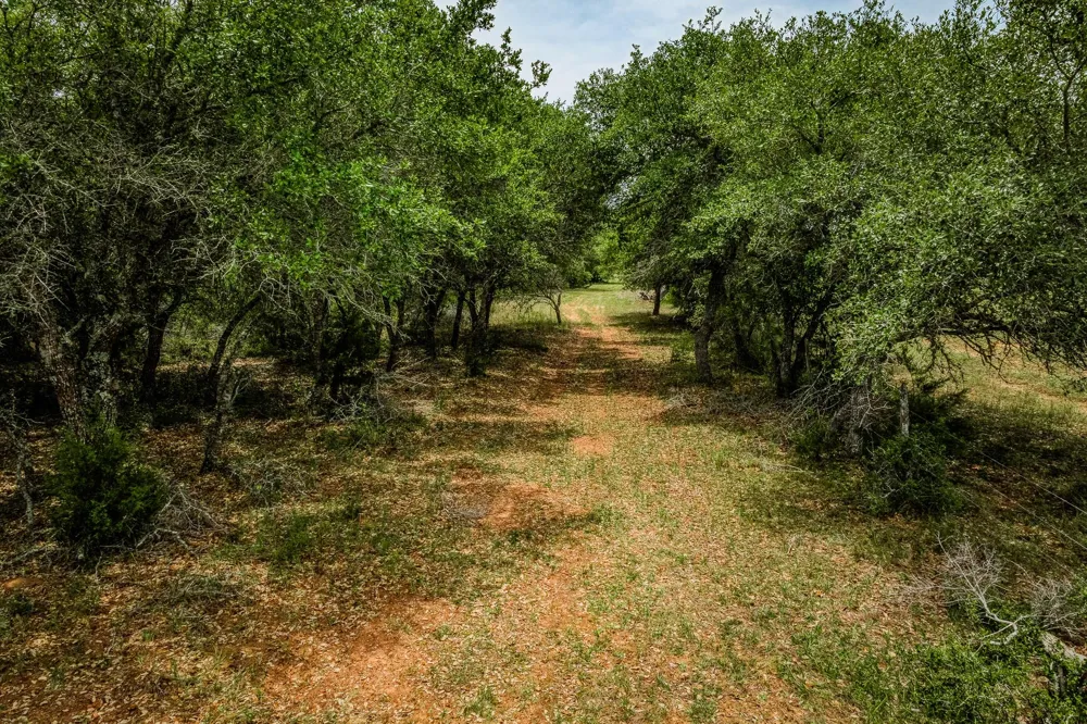 Cr 125 Hallettsville, TX 77964