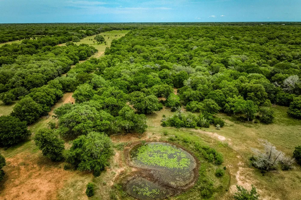 Cr 125 Hallettsville, TX 77964