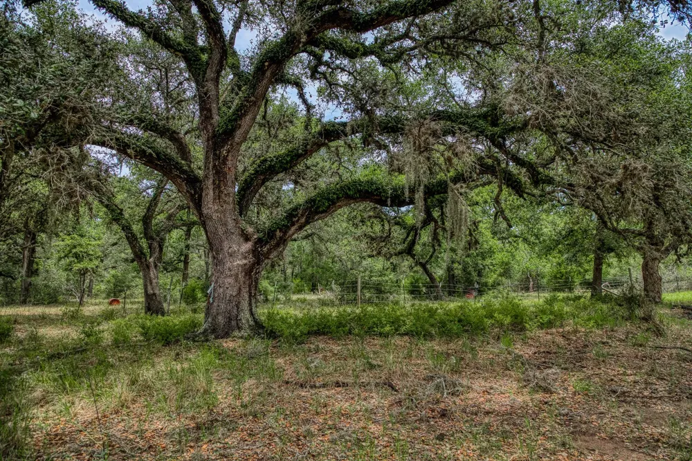 Cr 125 Hallettsville, TX 77964