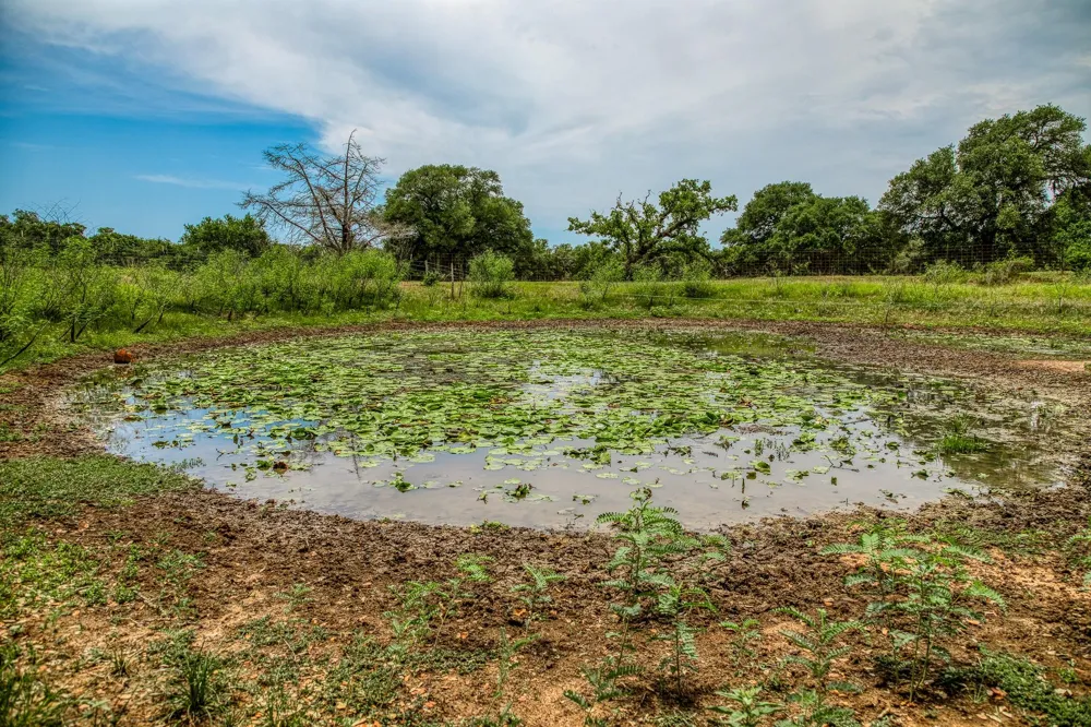 Cr 125 Hallettsville, TX 77964