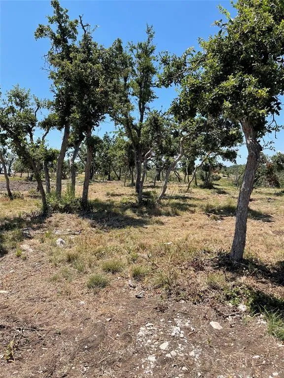 51 Skyview Court Fredericksburg, TX 78624
