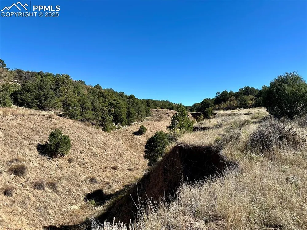 205 Hoofprint Court Walsenburg, CO 81089