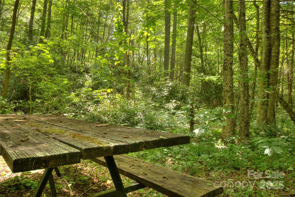 000 Golden Trout Drive #48&49 Spruce Pine, NC 28777