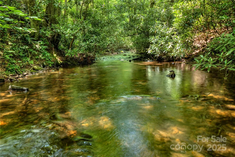 000 Golden Trout Drive #48&49 Spruce Pine, NC 28777