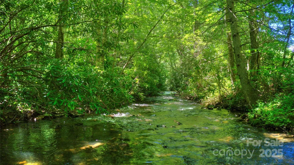 000 Golden Trout Drive #48&49 Spruce Pine, NC 28777