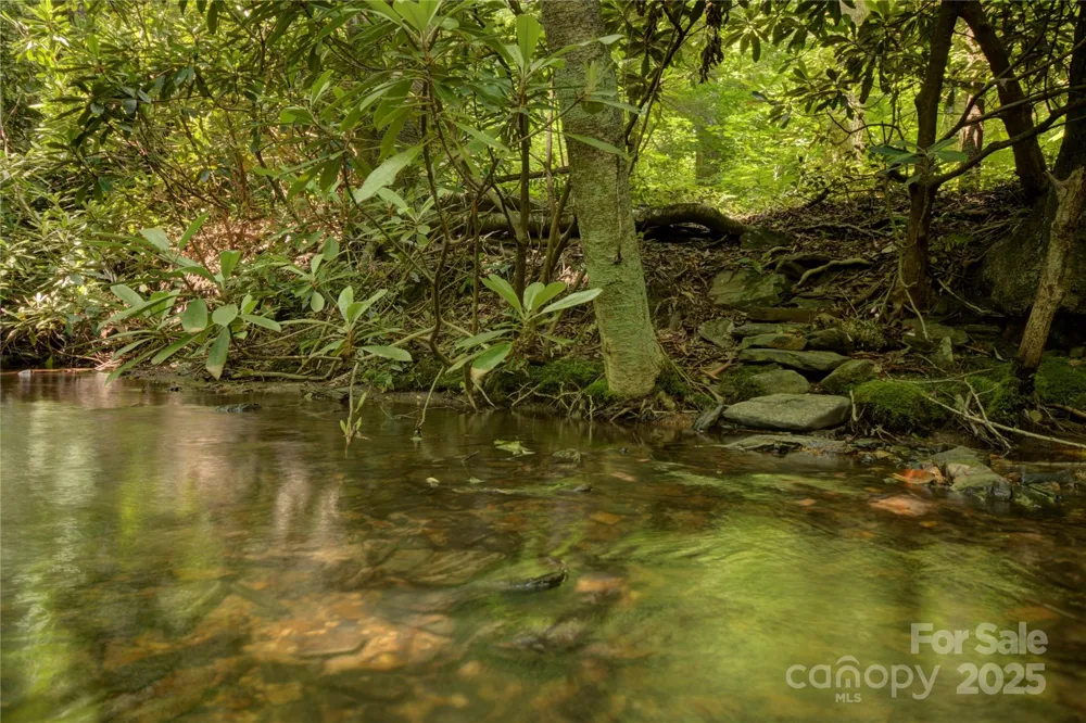 000 Golden Trout Drive #48&49 Spruce Pine, NC 28777