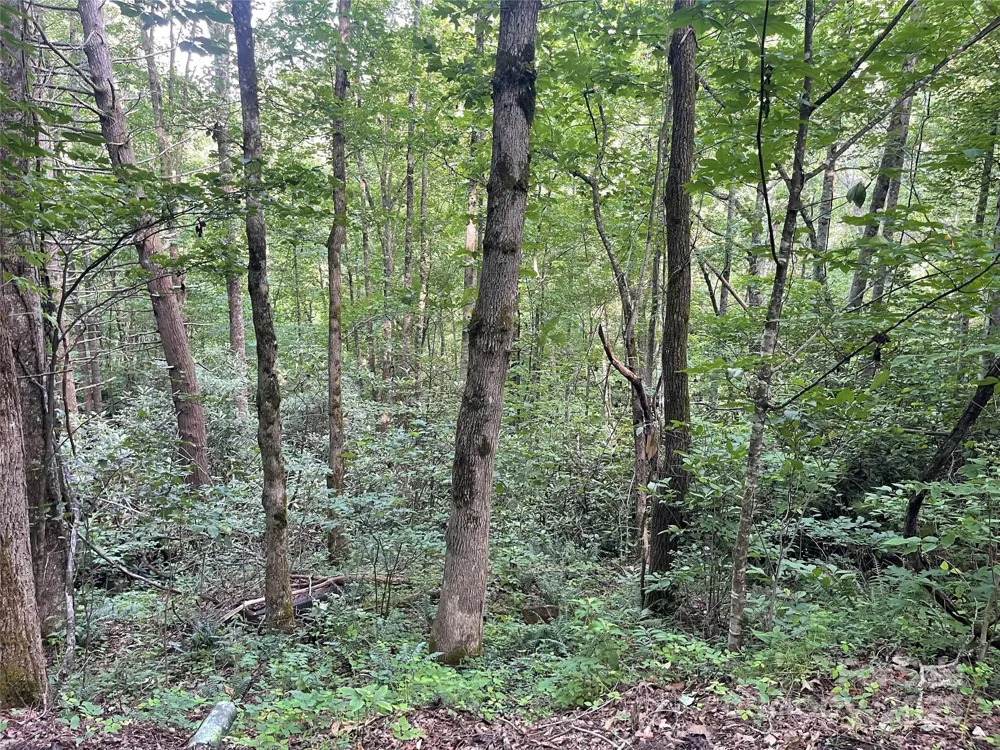 2600 Canada Road Tuckasegee, NC 28783