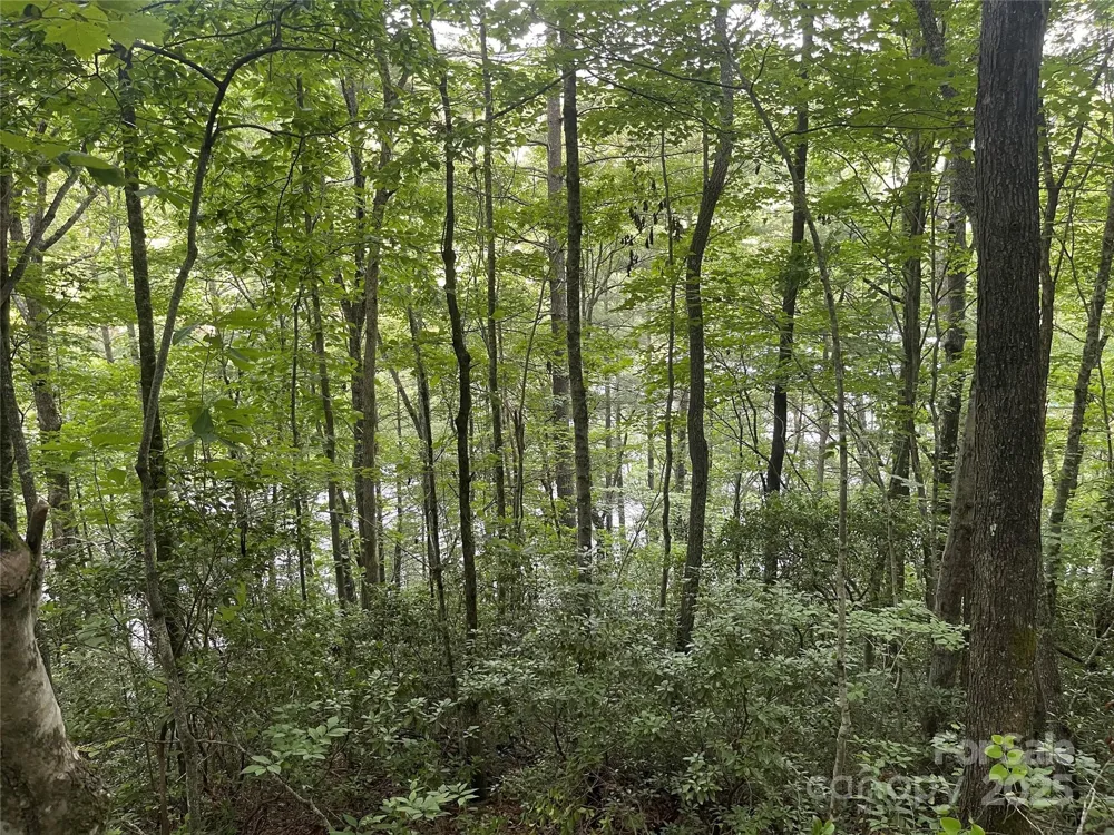 2642 Canada Road Tuckasegee, NC 28783