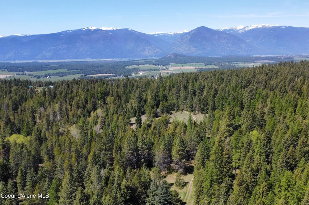 1015 Templeman Lake Road Bonners Ferry, ID 83805