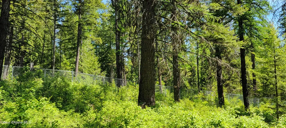 1015 Templeman Lake Road Bonners Ferry, ID 83805